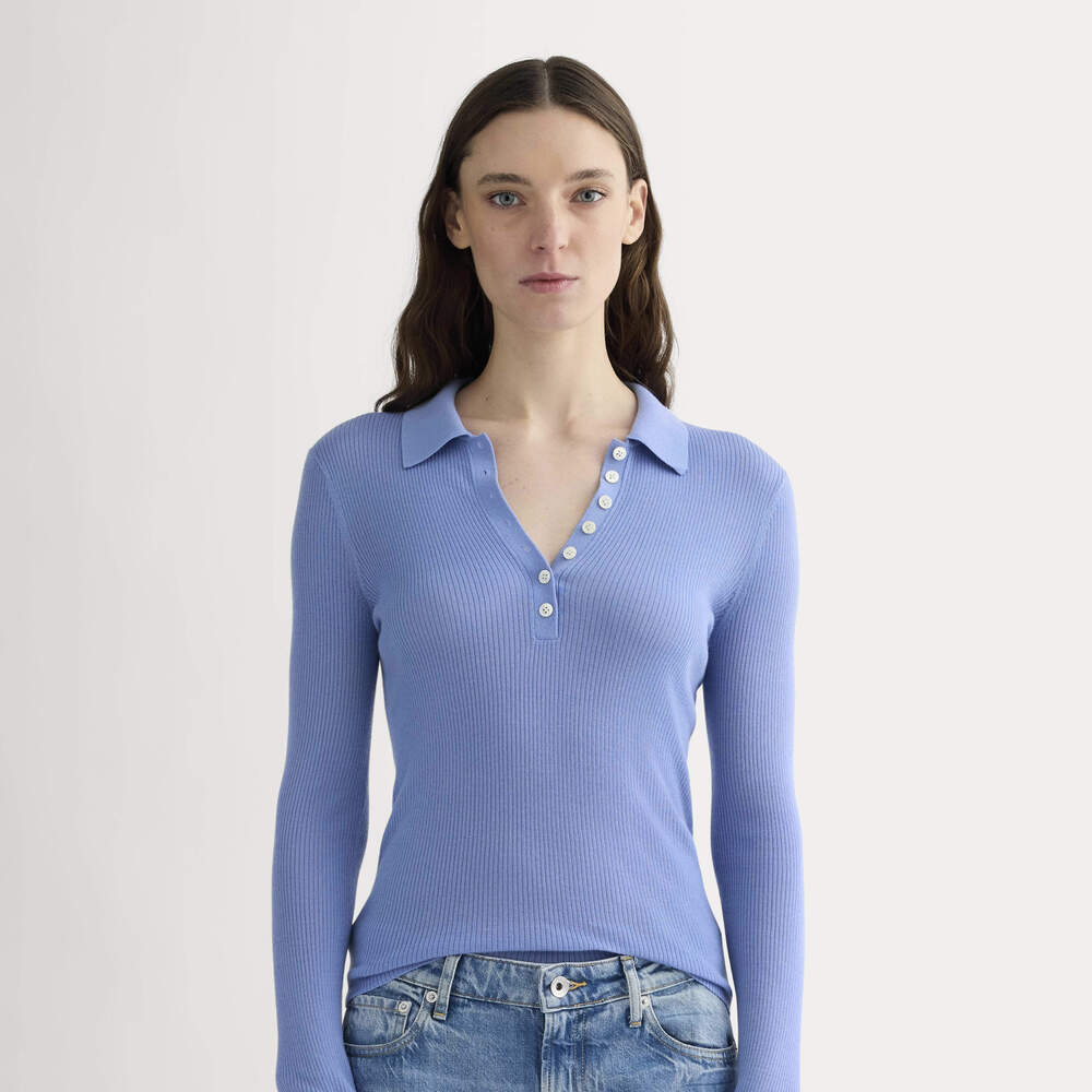 Everlane Women's Polo in Ultrasoft Merino Shirt in Bluebell, Size 2XL
